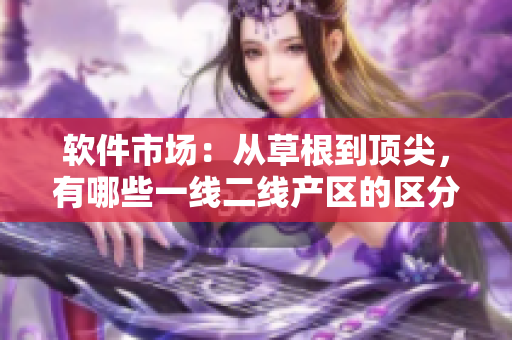 软件市场：从草根到顶尖，有哪些一线二线产区的区分？