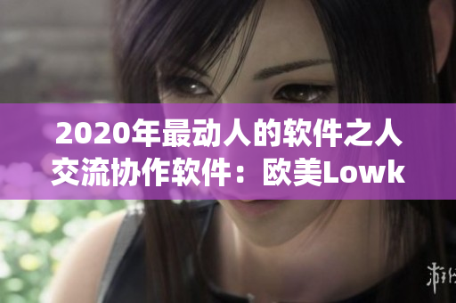 2020年最动人的软件之人交流协作软件：欧美Lowkey