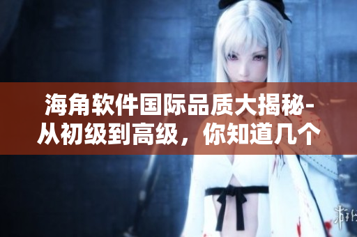 海角软件国际品质大揭秘-从初级到高级，你知道几个？