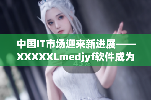 中国IT市场迎来新进展——XXXXXLmedjyf软件成为热门选择