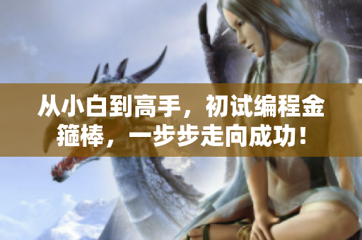 从小白到高手，初试编程金箍棒，一步步走向成功！