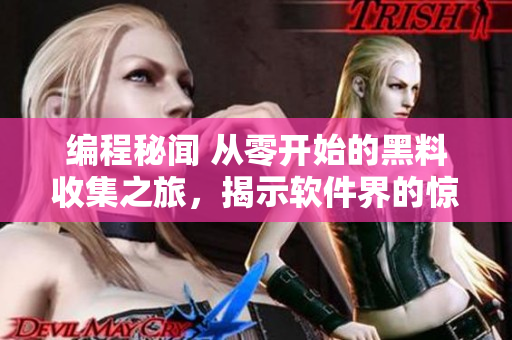 编程秘闻 从零开始的黑料收集之旅，揭示软件界的惊人真相