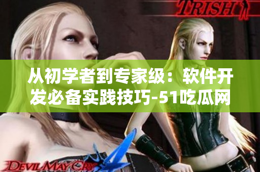 从初学者到专家级：软件开发必备实践技巧-51吃瓜网