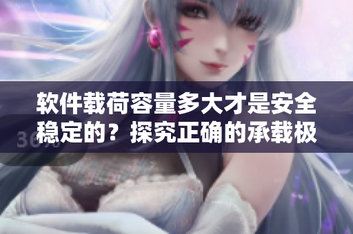软件载荷容量多大才是安全稳定的？探究正确的承载极限