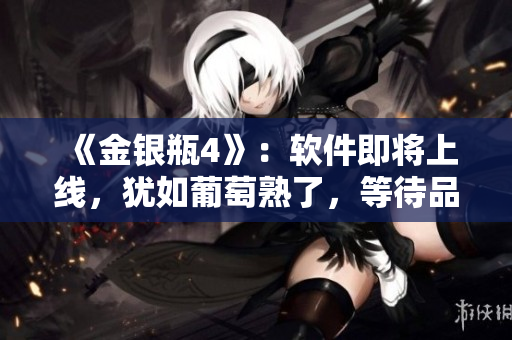 《金银瓶4》：软件即将上线，犹如葡萄熟了，等待品尝的美味！