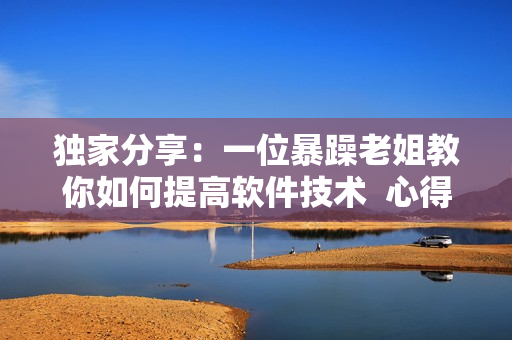 独家分享：一位暴躁老姐教你如何提高软件技术  心得经验分享！