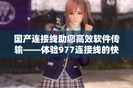 国产连接线助您高效软件传输——体验977连接线的快速稳定传输功能
