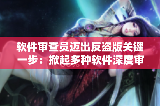 软件审查员迈出反盗版关键一步：掀起多种软件深度审查浪潮