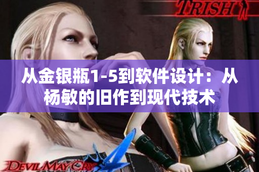 从金银瓶1-5到软件设计：从杨敏的旧作到现代技术