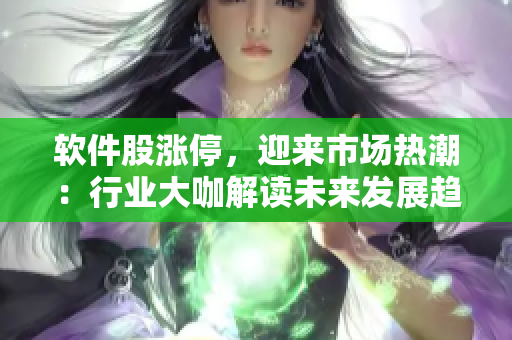 软件股涨停，迎来市场热潮：行业大咖解读未来发展趋势