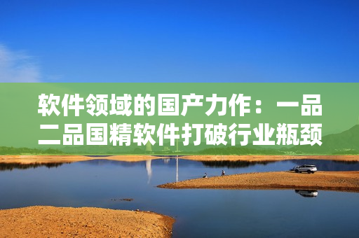 软件领域的国产力作：一品二品国精软件打破行业瓶颈