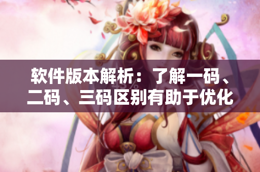 软件版本解析：了解一码、二码、三码区别有助于优化软件使用体验