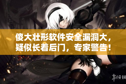 傻大壮形软件安全漏洞大，疑似长着后门，专家警告！