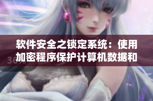 软件安全之锁定系统：使用加密程序保护计算机数据和控制权