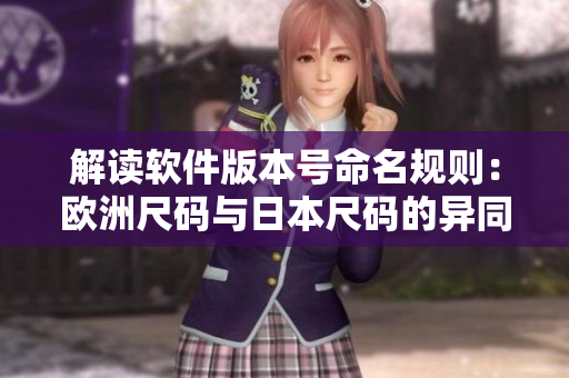 解读软件版本号命名规则：欧洲尺码与日本尺码的异同探析
