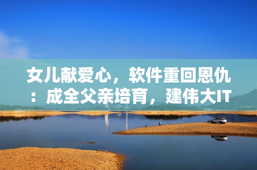 女儿献爱心，软件重回恩仇：成全父亲培育，建伟大IT世界！