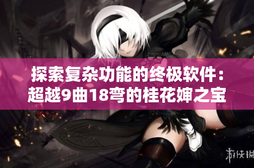 探索复杂功能的终极软件：超越9曲18弯的桂花婶之宝贝