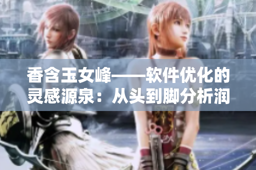 香含玉女峰——软件优化的灵感源泉：从头到脚分析润滞效应