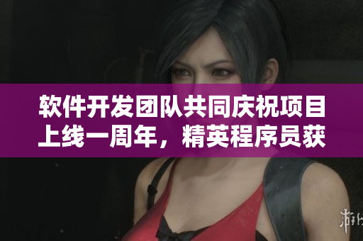软件开发团队共同庆祝项目上线一周年，精英程序员获得卓越表彰！