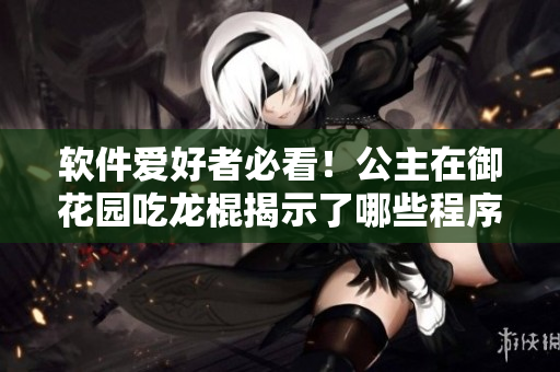 软件爱好者必看！公主在御花园吃龙棍揭示了哪些程序设计思路？