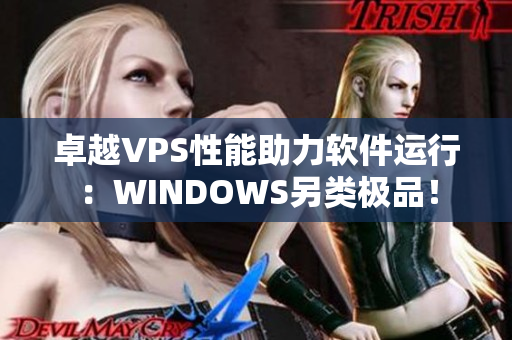 卓越VPS性能助力软件运行：WINDOWS另类极品！