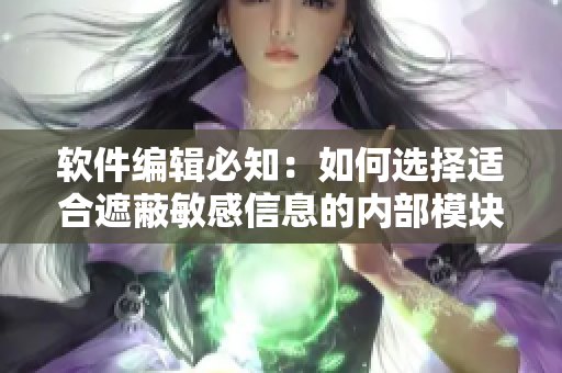 软件编辑必知：如何选择适合遮蔽敏感信息的内部模块？
