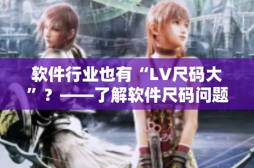 软件行业也有“LV尺码大”？——了解软件尺码问题，优化软件工程设计