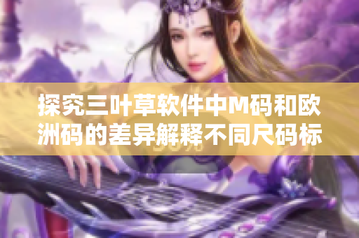探究三叶草软件中M码和欧洲码的差异解释不同尺码标准的背后原因
