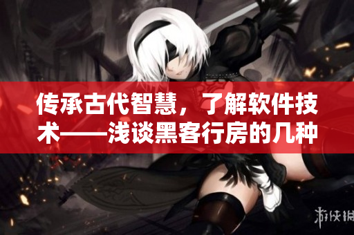传承古代智慧，了解软件技术——浅谈黑客行房的几种方式