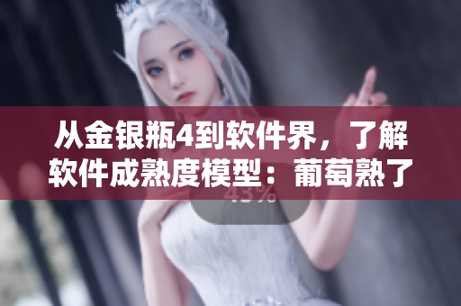 从金银瓶4到软件界，了解软件成熟度模型：葡萄熟了是什么境界？