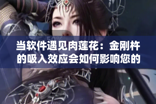 当软件遇见肉莲花：金刚杵的吸入效应会如何影响您的系统？