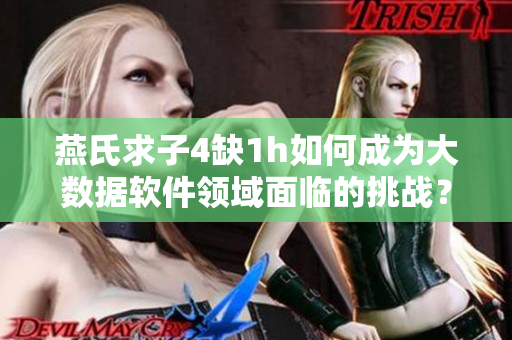 燕氏求子4缺1h如何成为大数据软件领域面临的挑战？