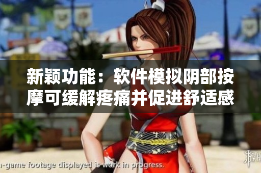 新颖功能：软件模拟阴部按摩可缓解疼痛并促进舒适感