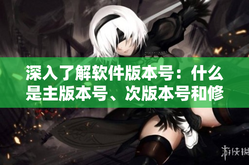深入了解软件版本号：什么是主版本号、次版本号和修订版本号？