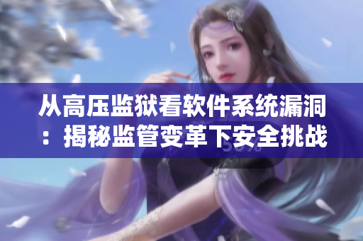 从高压监狱看软件系统漏洞：揭秘监管变革下安全挑战