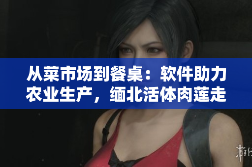 从菜市场到餐桌：软件助力农业生产，缅北活体肉莲走进品质生活