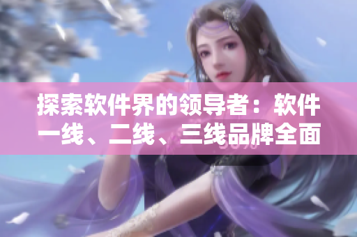 探索软件界的领导者：软件一线、二线、三线品牌全面解析