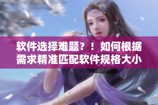 软件选择难题？！如何根据需求精准匹配软件规格大小