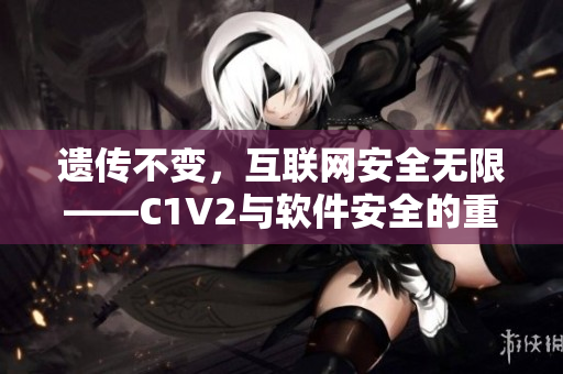 遗传不变，互联网安全无限——C1V2与软件安全的重要性探讨