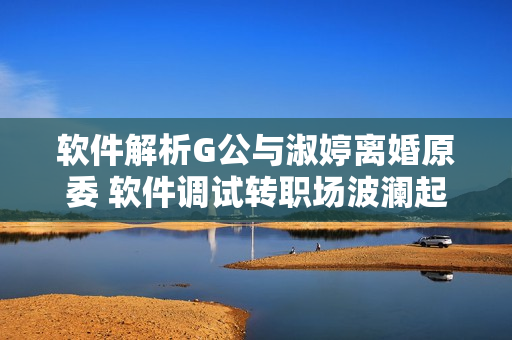 软件解析G公与淑婷离婚原委 软件调试转职场波澜起伏