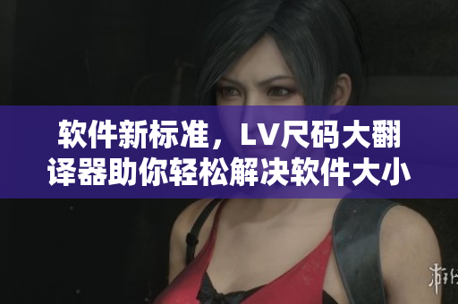 软件新标准，LV尺码大翻译器助你轻松解决软件大小写问题