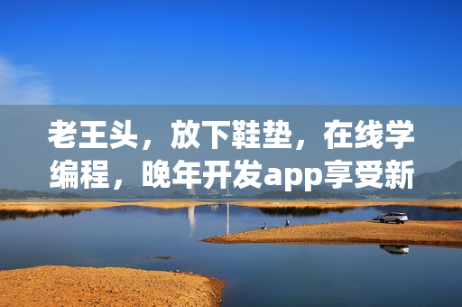 老王头，放下鞋垫，在线学编程，晚年开发app享受新生活
