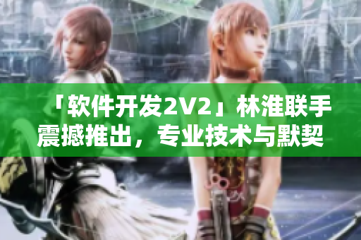 「软件开发2V2」林淮联手震撼推出，专业技术与默契配合一览无余！