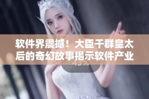 软件界震撼！大臣干群皇太后的奇幻故事揭示软件产业秘密