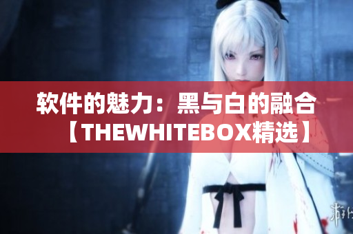软件的魅力：黑与白的融合【THEWHITEBOX精选】