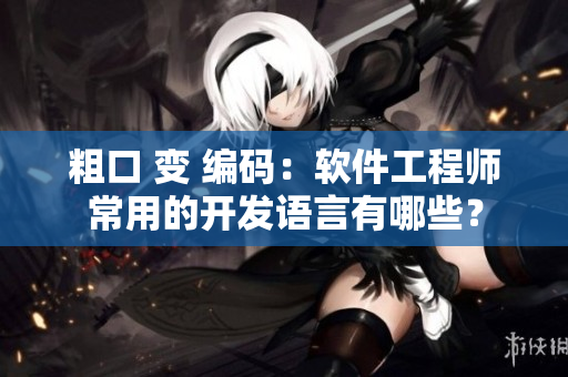 粗口 变 编码：软件工程师常用的开发语言有哪些？