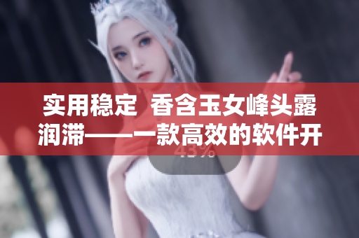 实用稳定  香含玉女峰头露润滞——一款高效的软件开发工具