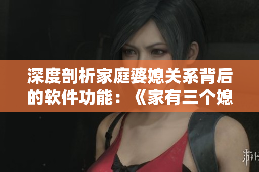 深度剖析家庭婆媳关系背后的软件功能：《家有三个媳妇》重构