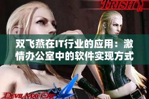 双飞燕在IT行业的应用：激情办公室中的软件实现方式