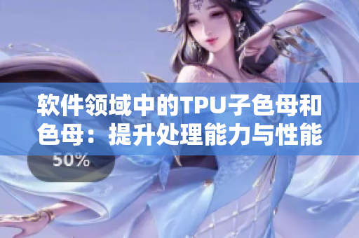 软件领域中的TPU子色母和色母：提升处理能力与性能的喜人组合